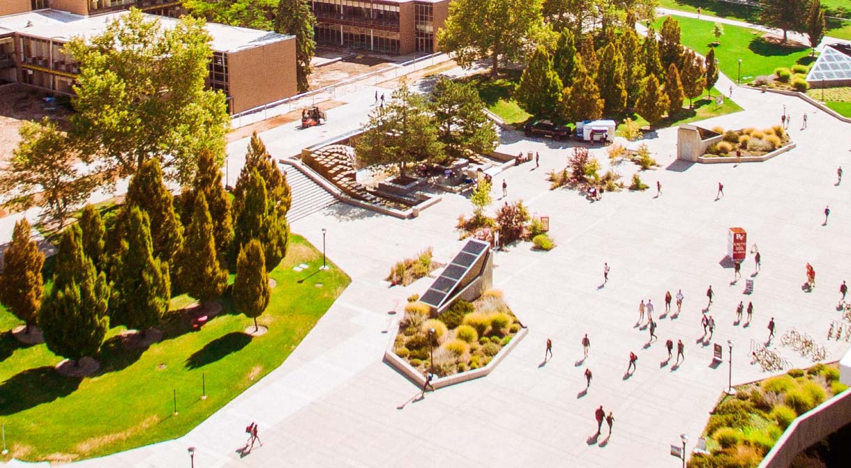 School from Above